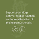 support your dog's optimal cardiac function with standard process canine supplements