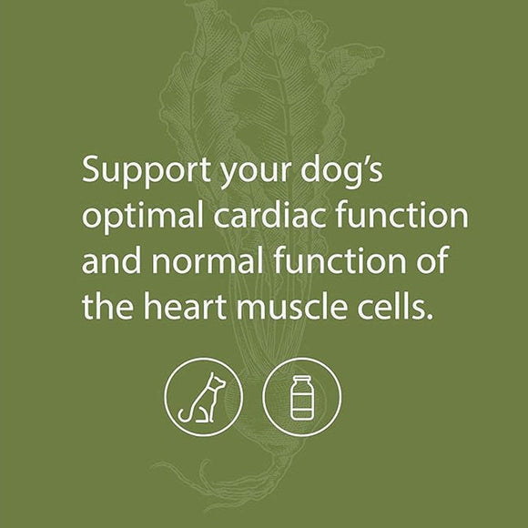 support your dog's optimal cardiac function with standard process canine supplements