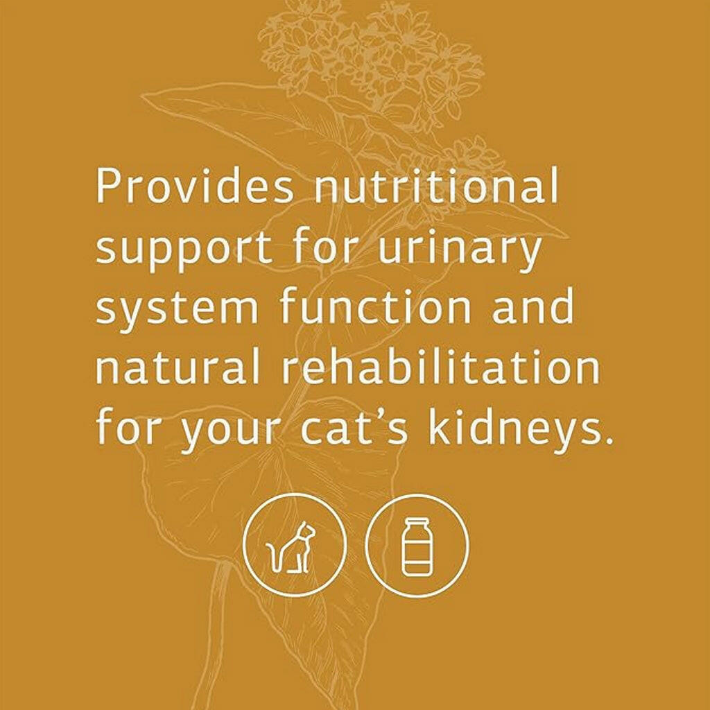 Standard Process Feline Renal Support Kidney and Urinary Health for C