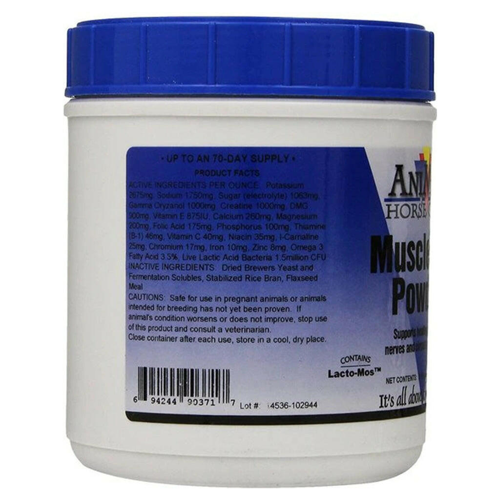 AniMed Muscle-Up Powder Supplement for Horses