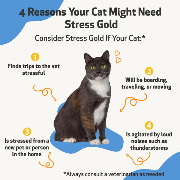 Stress Gold - For High Stress Situations in Cats (2 oz)