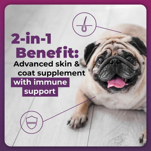 VetriScience Omega Plus Advanced Skin Supplement for Dogs (40 chews)