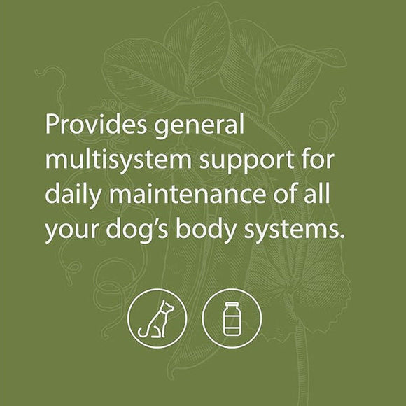 canine whole body support standard process provides general multisystem support. 