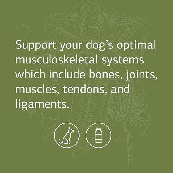 Standard Process Canine Musculoskeletal Support (20 g)