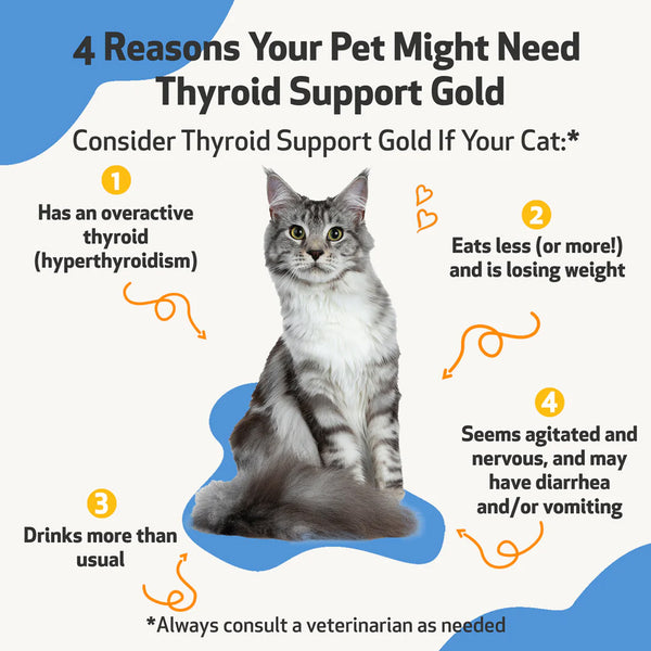 Thyroid Support Gold - For Cat Hyperthyroid (2 oz)