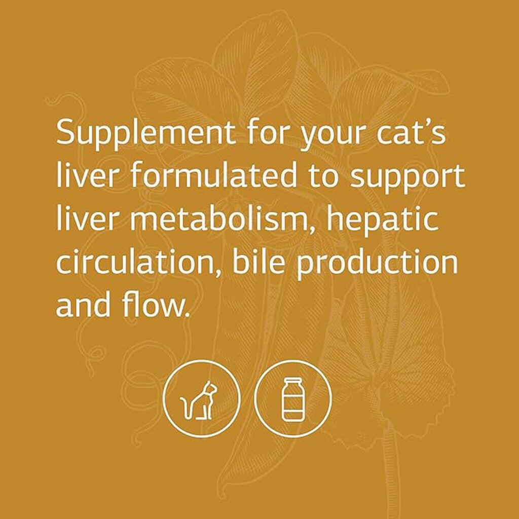 standard process hepatic support is specifically formulated for your cat's liver