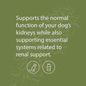 Standard Process Canine Renal Support (110 g)