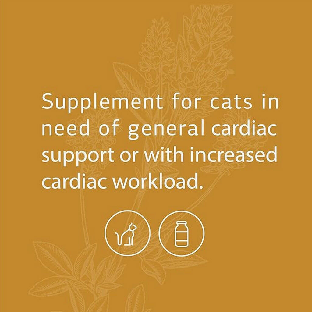 standard process feline cardiac support