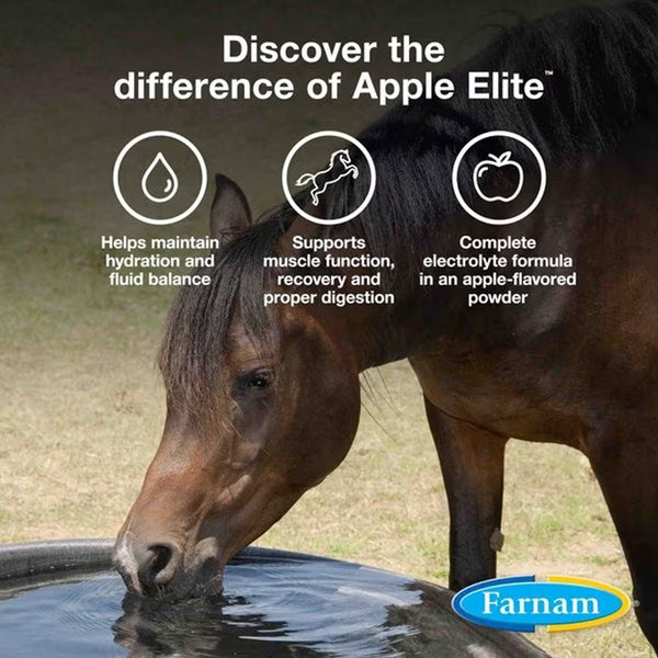 Farnam Apple Elite Electrolytes Supplement For Horse(20 lb)