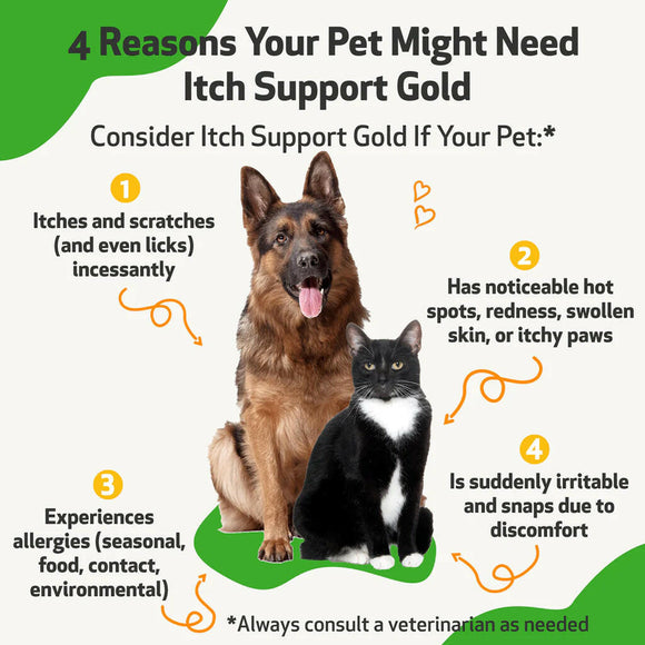 Itch Support Gold - For Allergy-Related Itch in Dogs (2 oz)