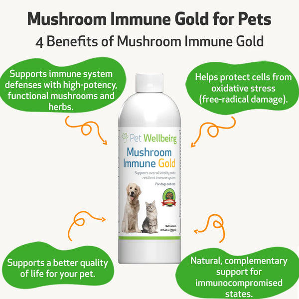 Mushroom Immune Gold - Holistic Cancer Support for Cats (8 oz)