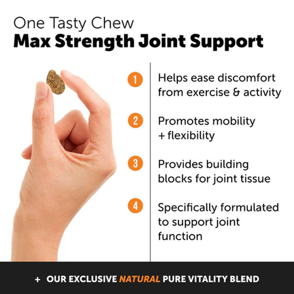 Pet Honesty Hip + Joint Health Max Strength Soft Chews for Dogs (90 ct)