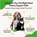 Kidney Support Gold for Cats (2 oz)