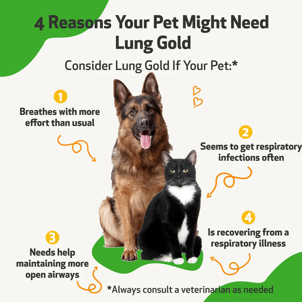 Consider Lung Gold if your pet breathes with more effort than usual or seems to get respiratory infections often.