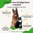 Consider Lung Gold if your pet breathes with more effort than usual or seems to get respiratory infections often.