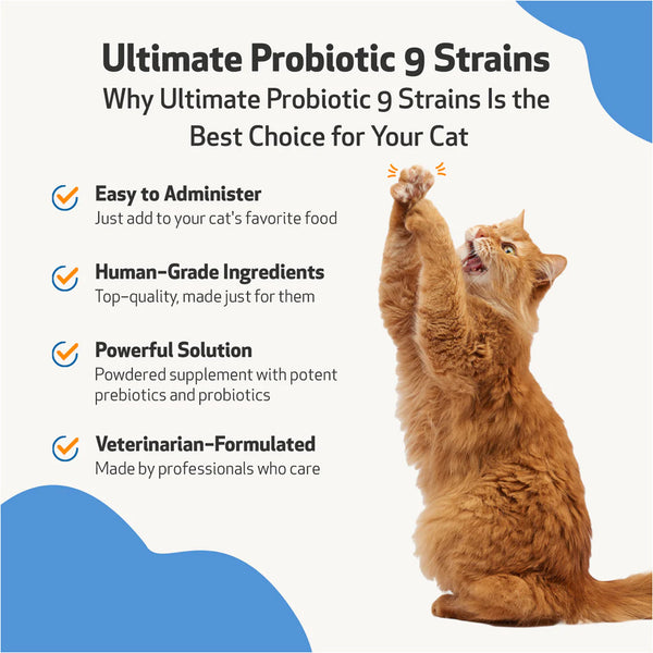 Ultimate Probiotic 9 Strains with Prebiotics for Cats (5.64 oz)