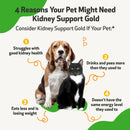 Pet Wellbeing kidney support gold