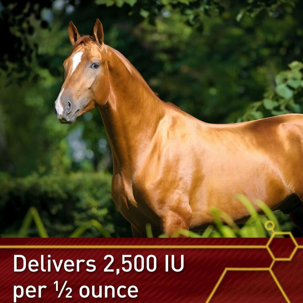 Vita Flex E5000 Vitamin E Concentrate For Horses (4 lb)