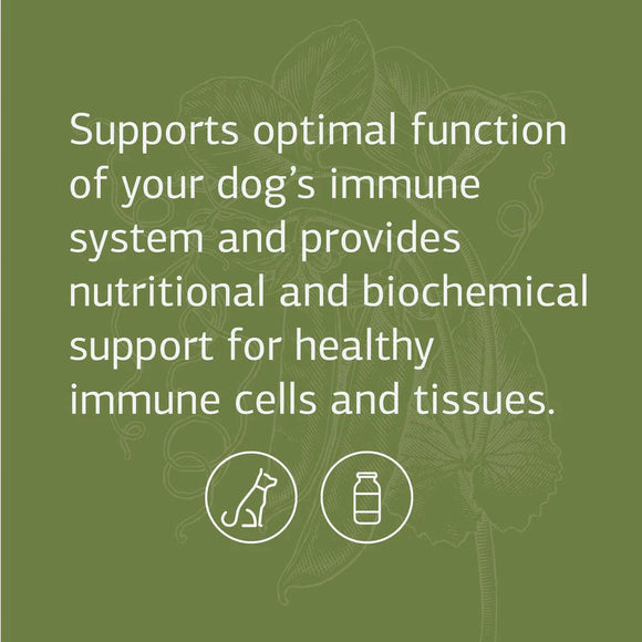 standard process canine immune support is made with ashwagandha for dogs