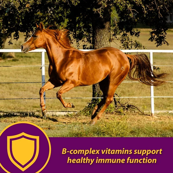 Red Cell Pellets Vitamin-Iron-Mineral Supplement for Horses (4 lb)
