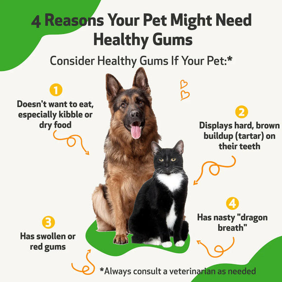 Healthy gums for dogs is made with calendula, licorice root, and marshmallow root.