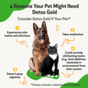 Detox Gold for Dogs - Gentle Detoxification & Elimination Support (2 oz)