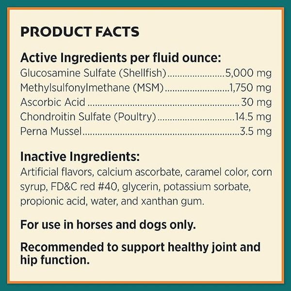 Farnam Next Level Joint Fluid Supplement, Supports Healthy Hip & Joint Function for Horses & Dogs (16 oz)