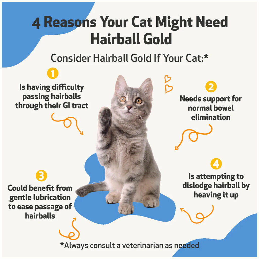 Hairball Gold- Help for Cat Hairballs (2 oz)