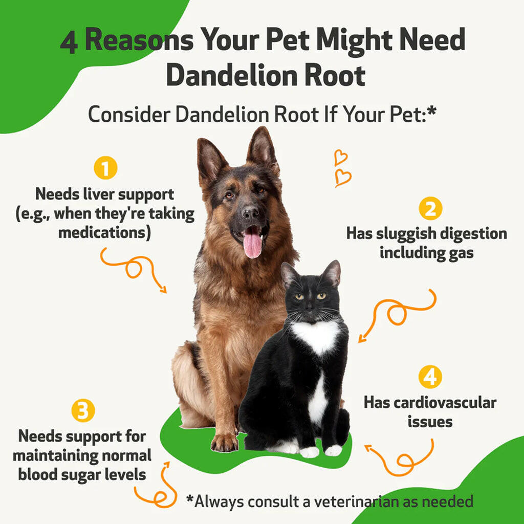 Dandelion root for cats comes in a 2 oz and 4 oz bottle