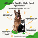 Pet Wellbeing - Agile Joints for Cat Joint Mobility (4 oz)