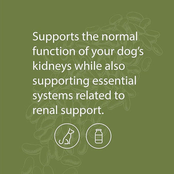 canine renal support supplement supports normal function of the kidneys