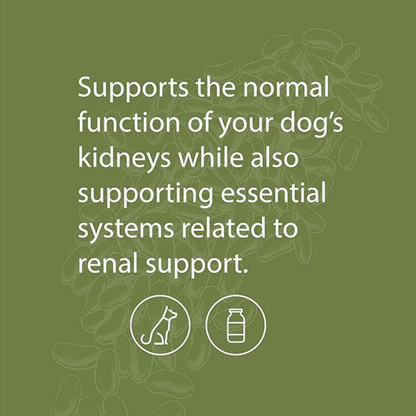 Standard Process Canine Renal Support (30 g)