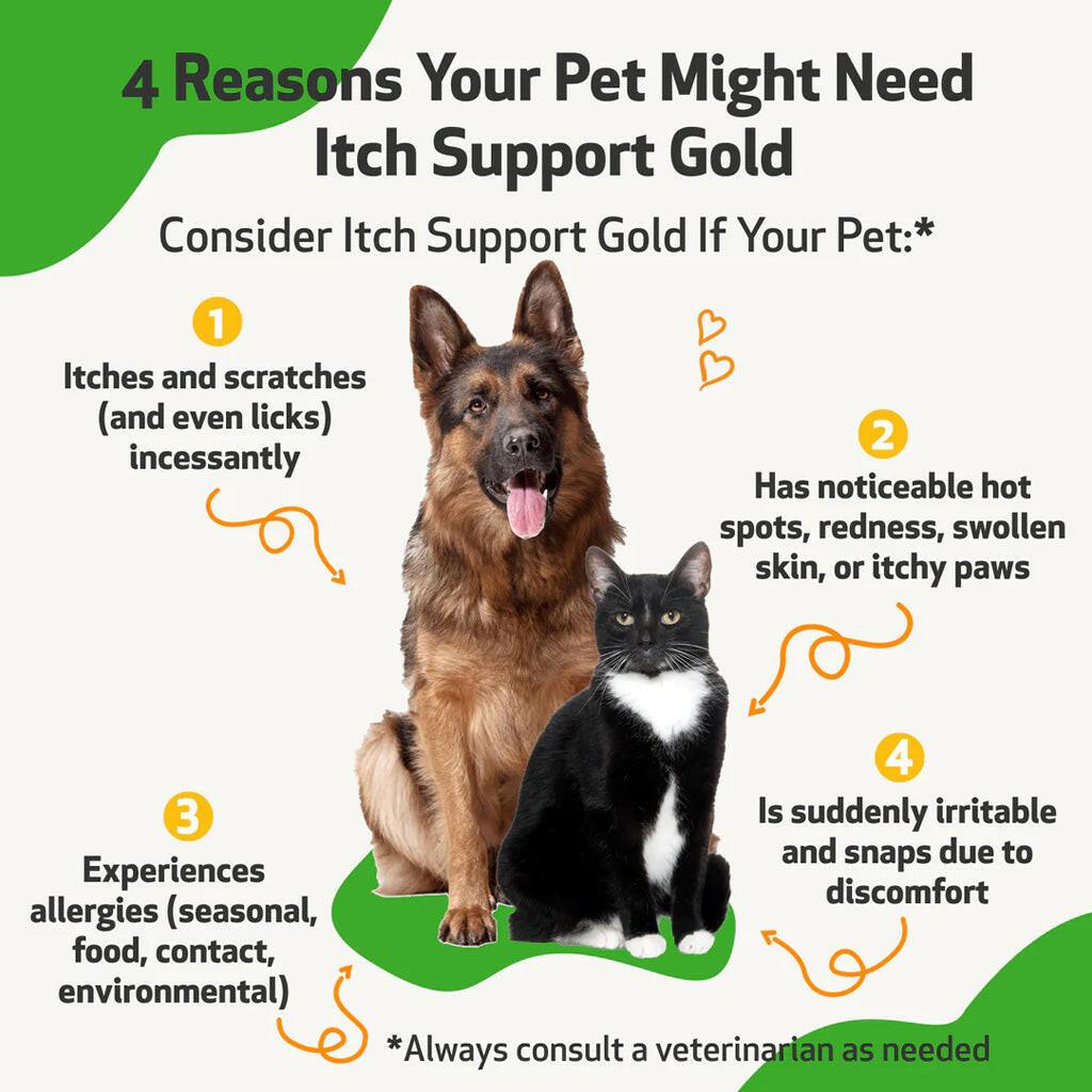 Buy itch support gold for cat itch relief