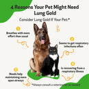 Lung Gold - Lower Respiratory Tract Support for Dogs (4 oz)
