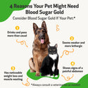 Pet Wellbeing- Blood Sugar Gold for Dog Blood Sugar Support