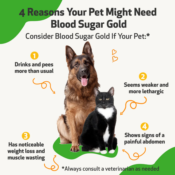 Pet Wellbeing- Blood Sugar Gold for Dog Blood Sugar Support (2 oz)