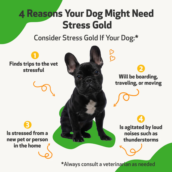 Stress Gold - For High Stress Situations in Dogs (2 oz)