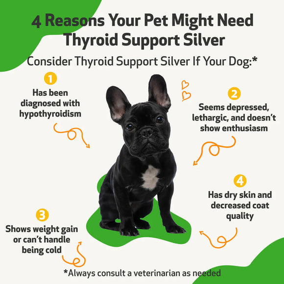 Thyroid Support Silver - for Low Thyroid in Dogs (2 oz)