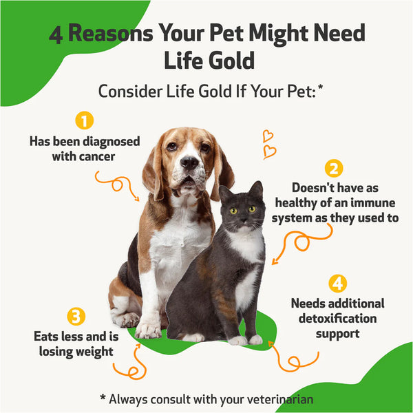 Life Gold - Trusted Care for Dog Cancer (4 oz)