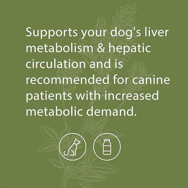 Standard Process Canine Hepatic Support Liver Metabolism Support for Dogs(110 g)