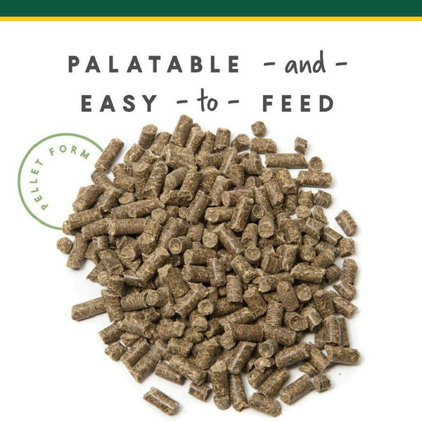 U-Gard Gastric Support Pellets for Horses