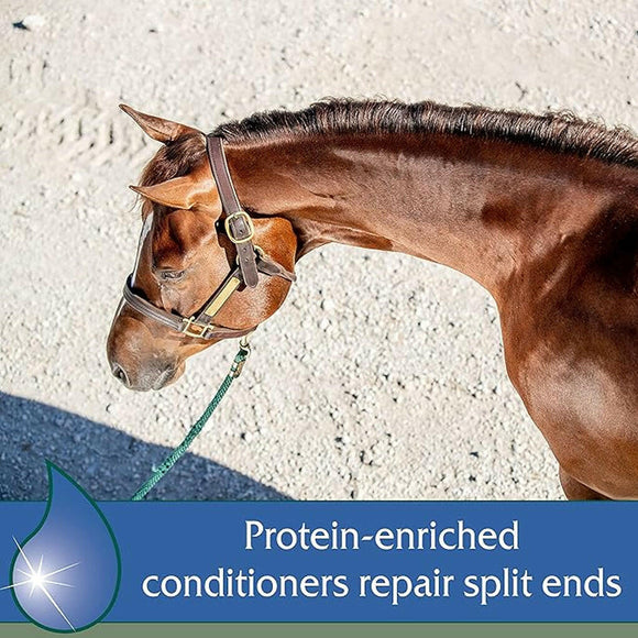 Farnam Vetrolin Body Wash Gentle Moisturizing for Dogs & Horse(32 oz)