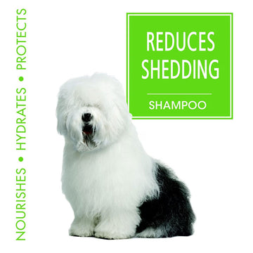 Four Paws Magic Coat Reduces Shedding Shampoo for Dogs, Honey Vanilla Scent