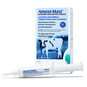 Amoxi-Mast (amoxicillin) Lactating Cow Formula Intramammary Infusion, 12 x 10-ml Dose