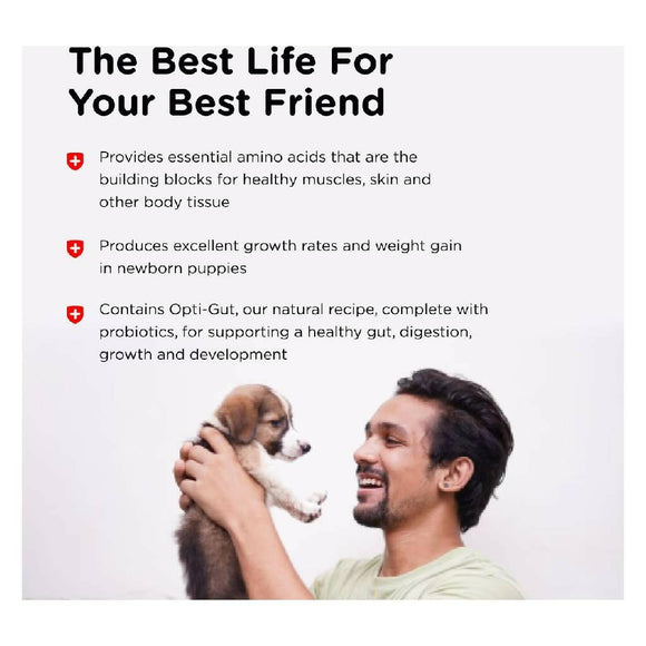 Nutri-Vet Milk Replacement Powder for Puppies (12 oz)