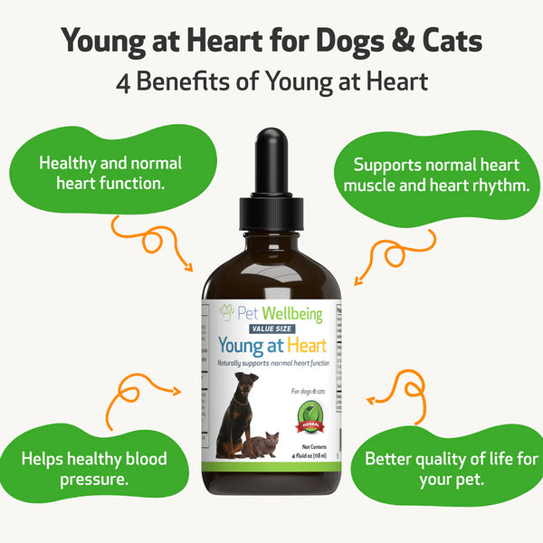 Young at Heart for Healthy Heart Maintenance in Cats (2 oz)