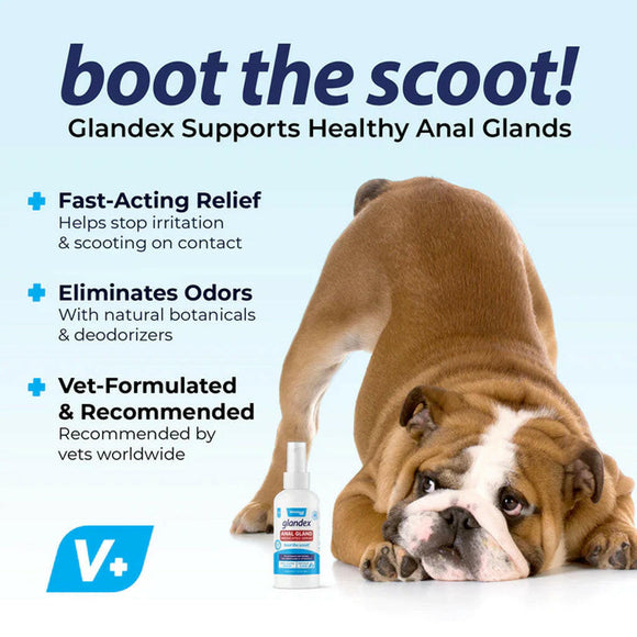 glandex medicated spray will help your pet boot the scoot