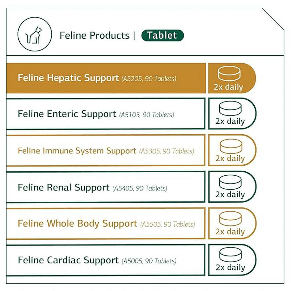 Standard Process Feline Hepatic Support (90 tablets)