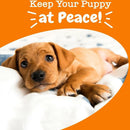 Zesty Calm Bite Turkey Flavor Soft Chew Supplement For Puppy (90 ct)