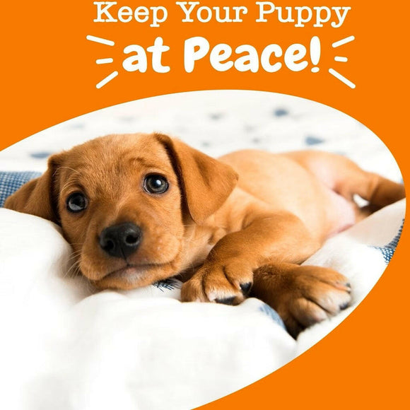 Zesty Calm Bite Turkey Flavor Soft Chew Supplement For Puppy (90 ct)